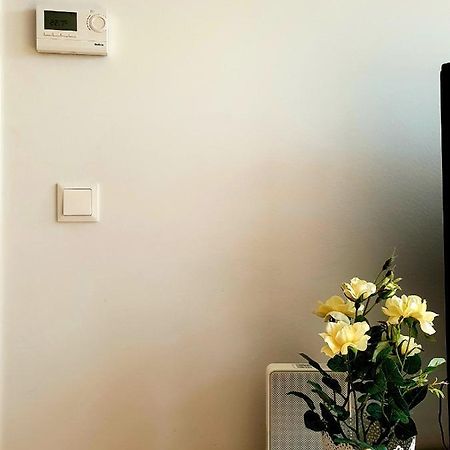 Near Lake Two Bedroom Fully Furnished Apartment ウィーン エクステリア 写真